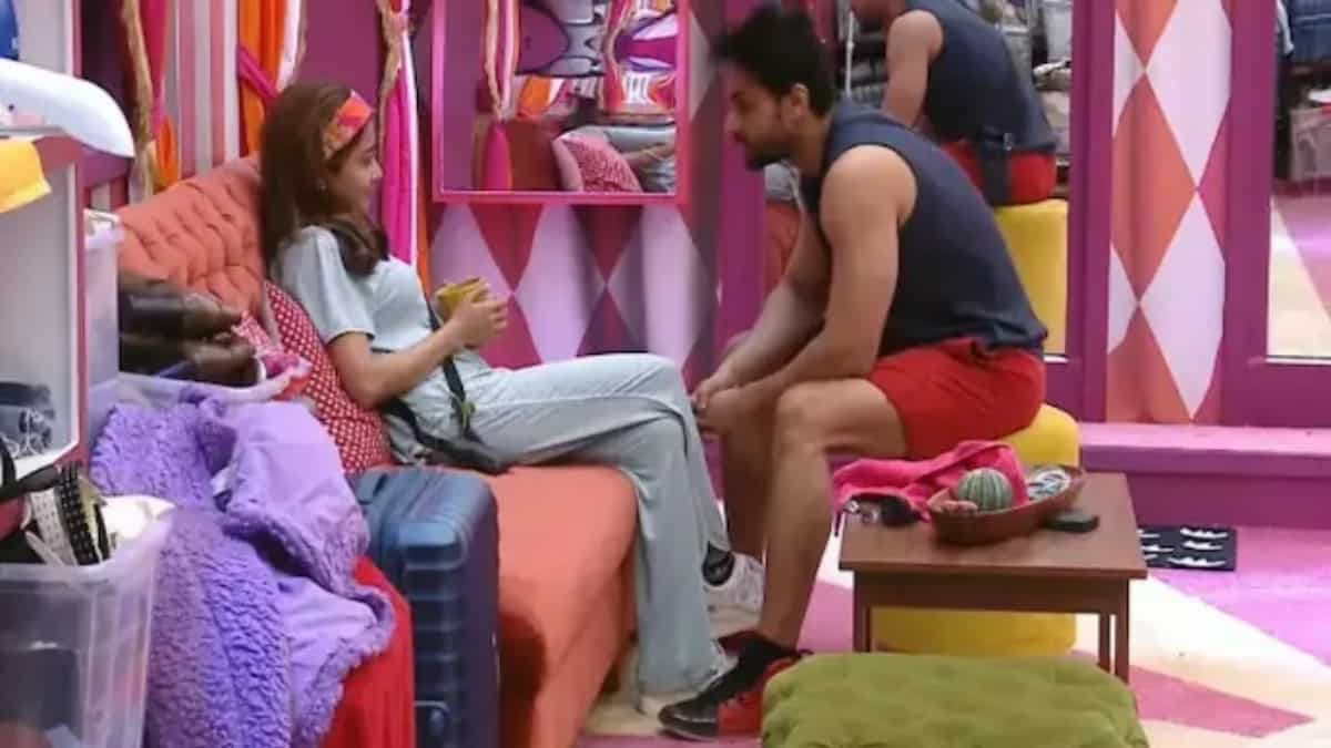 Bigg Boss 16 December 6 Written Update Tina Datta And Shalin Bhanot