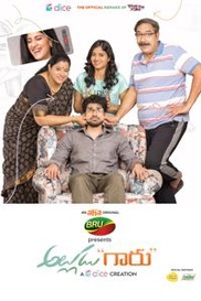 Alludu Gaaru