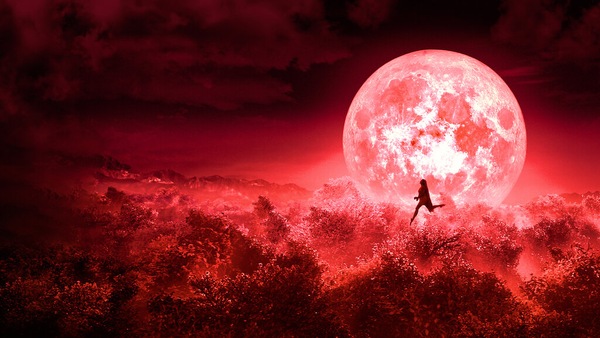 Bulbbul completes one year of release, here's what Netflix had to say about it