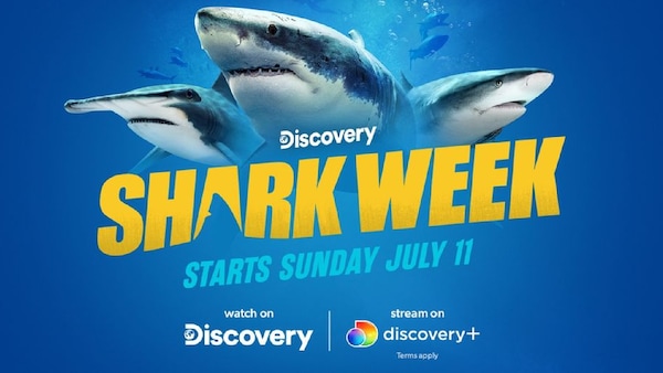 Shark Week to premier on Discovery+ OTT
