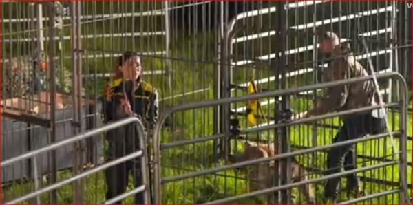 Nikki Tamboli during the task.