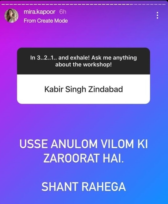 Mira Rajput on Instagram Stories.