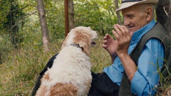 The Truffle Hunters review: An immersive and incisive documentary on a