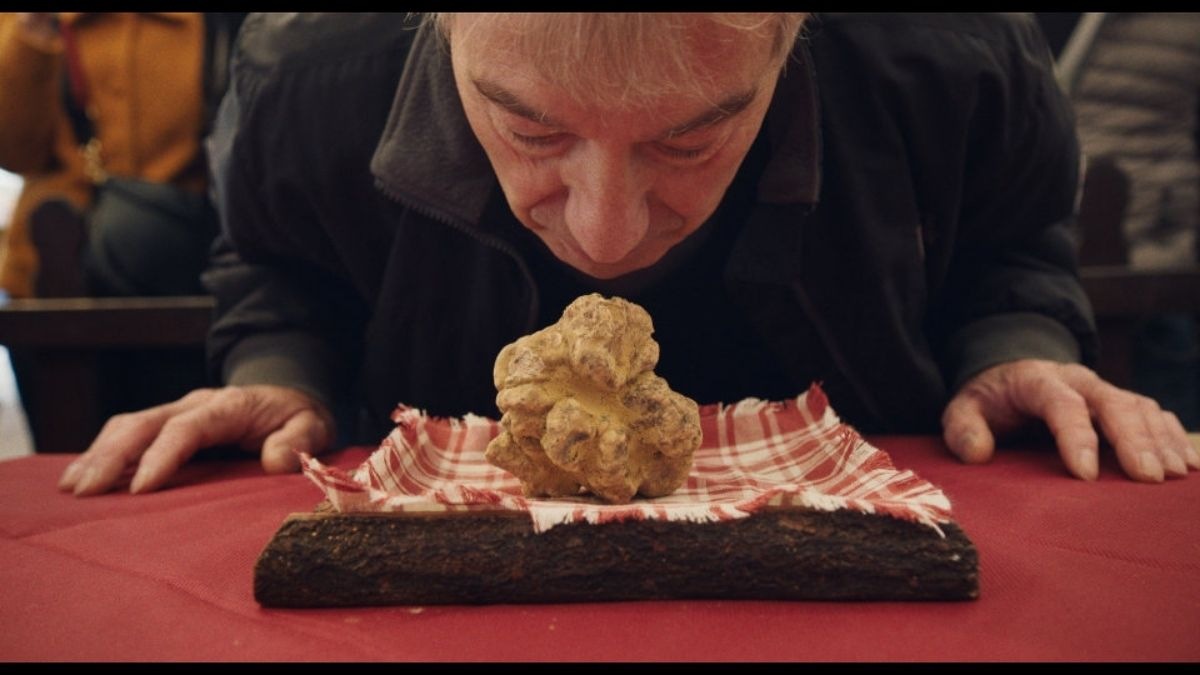 The Truffle Hunters review: An immersive and incisive documentary on a rare culinary royalty