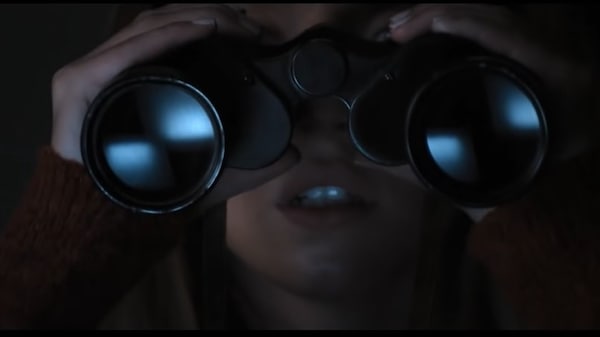 The Voyeurs release date: When and where to watch the erotic thriller