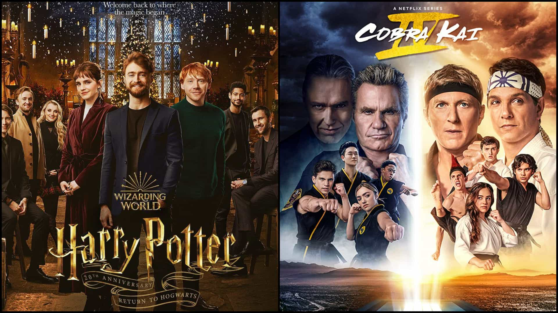 Disney+ hotstar 2024 harry potter