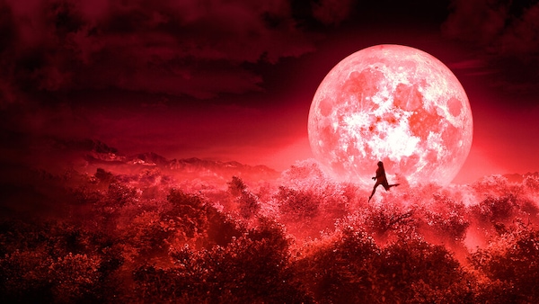 Scream Stream: Why Bulbbul is a groundbreaking feminist film with a perfect pinch of horror