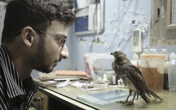 Shaunak Sen On His Sundance Winning Documentary All That Breathes