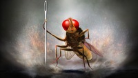 Eega, S.S. Rajamouli’s Finest Film, Turns 10