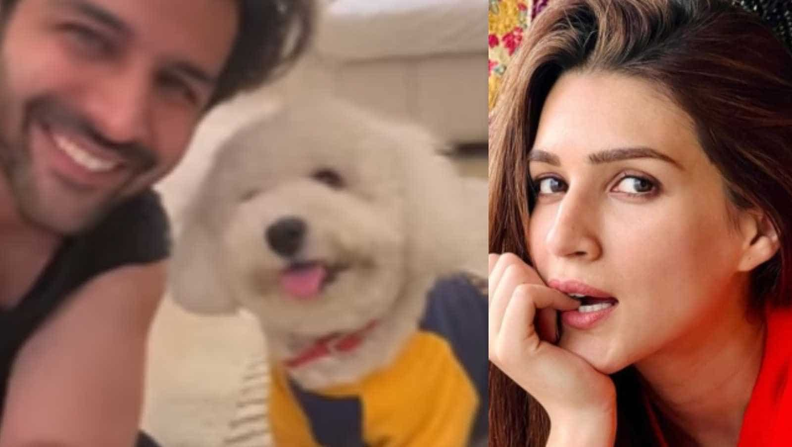 Kartik Aaryan Shares An Adorable Video Goofing Around With His Pet But ...