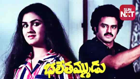 Bhale Thammudu (1985)