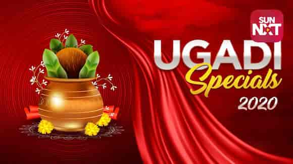 Ugadi Specials