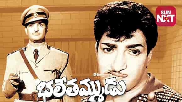 Bhale Thammudu (1969)