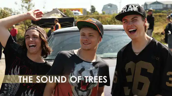 The Sound Of Trees
