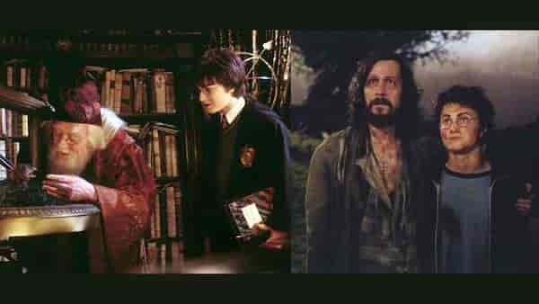 From Sirius Black to Molly Weasley: Soulful parental figures in the Harry Potter Universe