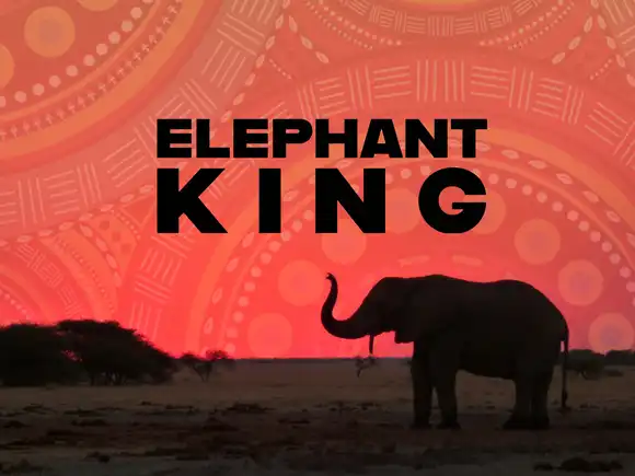 Elephant king