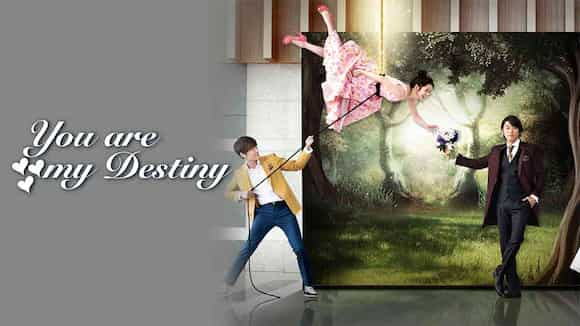 You Are My Destiny in Korean