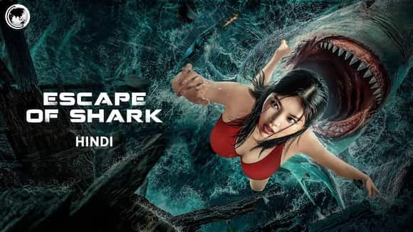 Escape of Shark