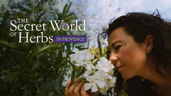 The Secret World of Herbs in Provence