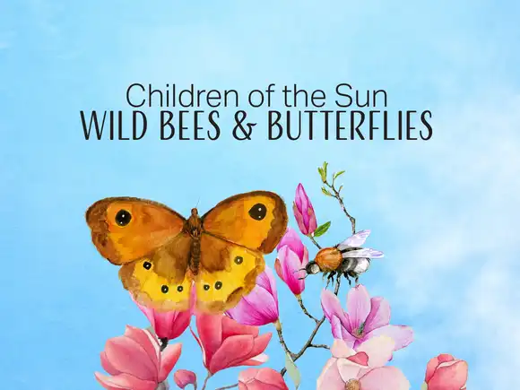 Children of the Sun - Wild Bees & Butterflies