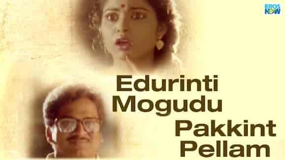 Edurinti Mogudu Pakkinti Pellam