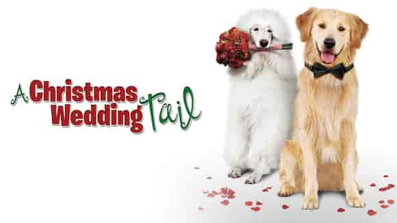 A Christmas Wedding Tail