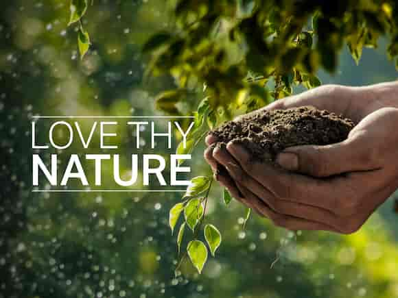 Love Thy Nature