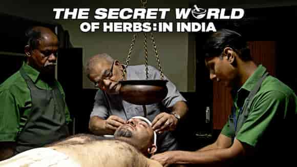 The Secret World of Herbs: In India