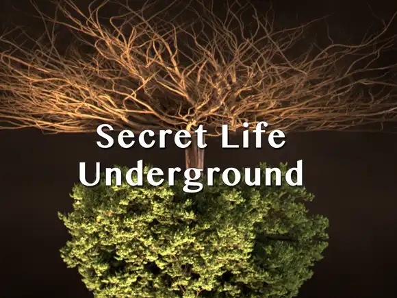 Secret Life Underground