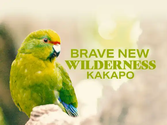Brave New Wilderness Kakapo