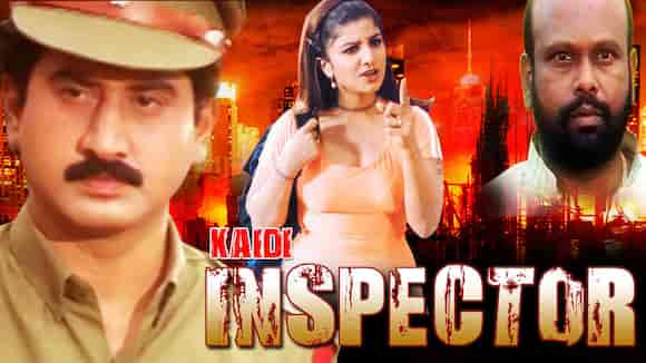 Kaidi Inspector