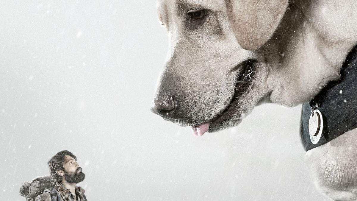 Fans go gaga over Rakshit Shetty’s 777 Charlie’s Mahabharatha connect