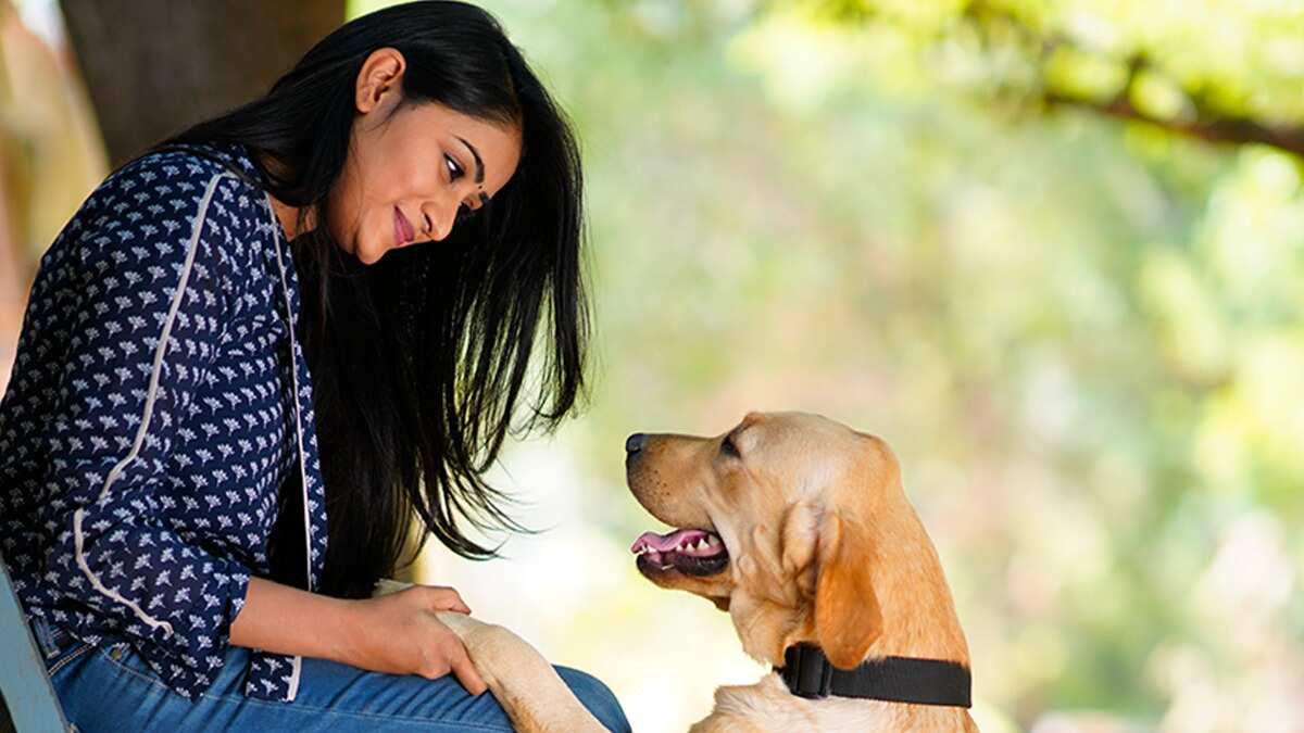 Sangeetha Sringeri is an animal welfare activist