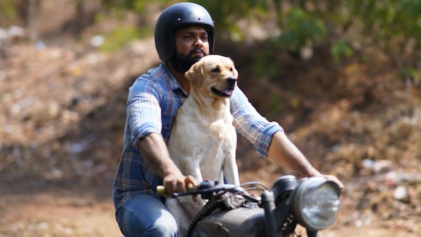 Watch Dharma and Charlie head out on the trip of a lifetime in 777 Charlie’s Journey Song