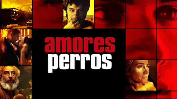 Amores Perros