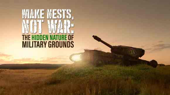 MAKE NESTS, NOT WAR: The Hidden Nature of Military Grounds