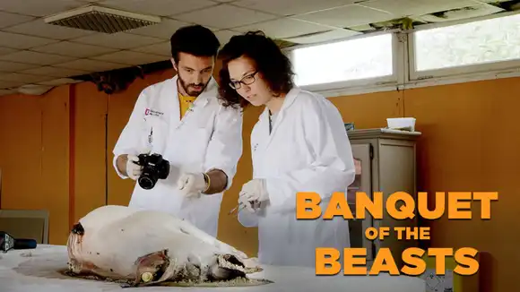 Banquet Of The Beasts: The Cycle Of Life