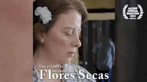 Flores Secas