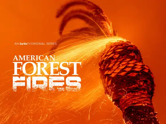 American Forest Fires