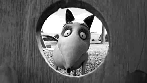 Frankenweenie