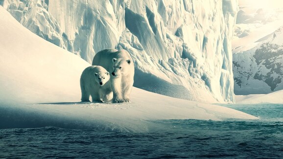 Our Planet II