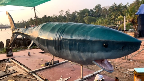 A 20-foot shark was made as a prop for the film.