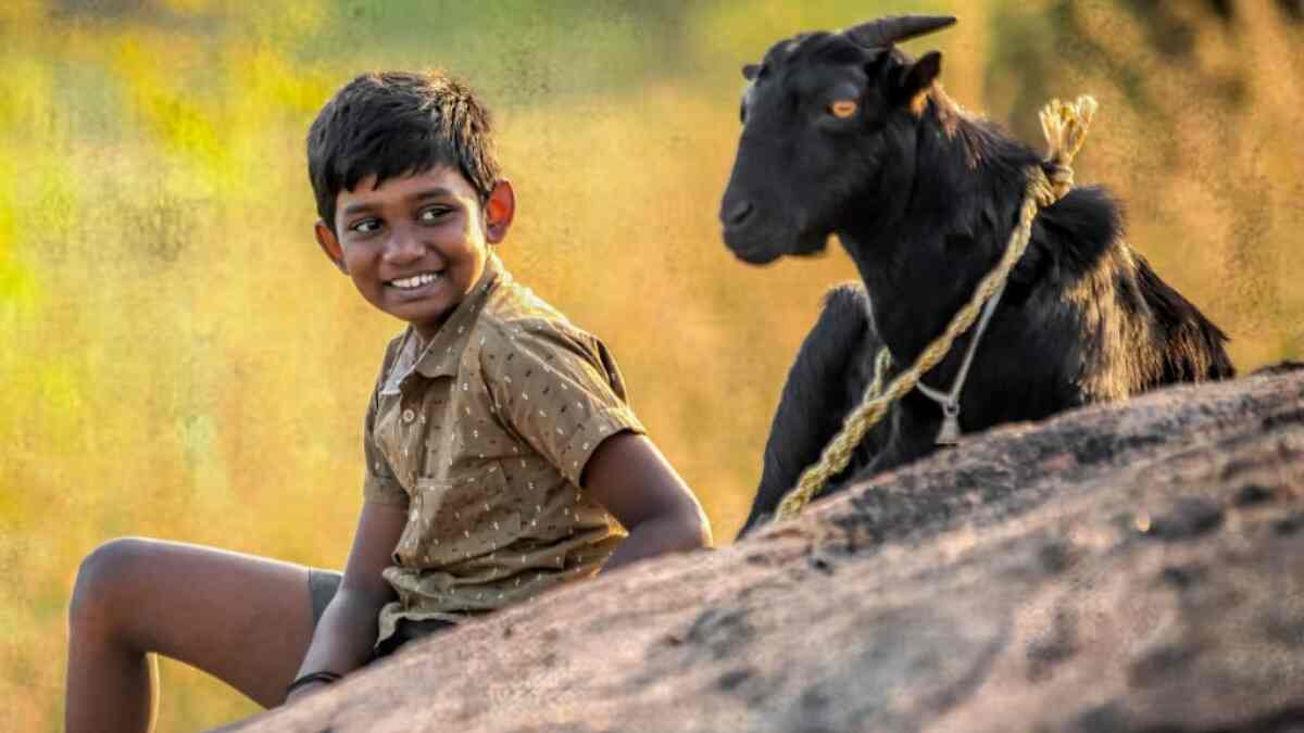 Kida release date: Kaali Venkat's award-winning film to hit screens in November