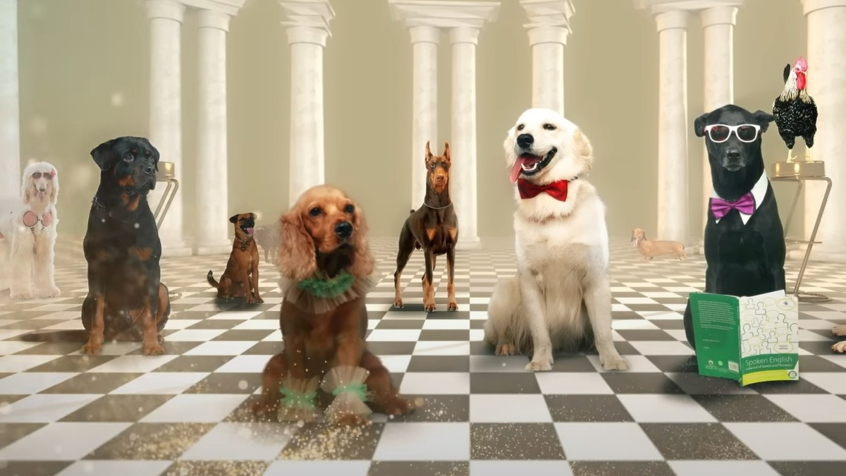 Valatty director Devan: 'If people don't throw a stone at a dog after watching the film, that's good enough for me'