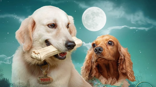 Valatty – The Tale of Tails release date: When, where to watch Devan’s film featuring dogs in lead roles