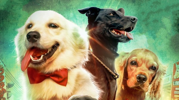 Valatty review: Roshan Mathew, Soubin Shahir’s dog tale gets bogged down by a predictable take