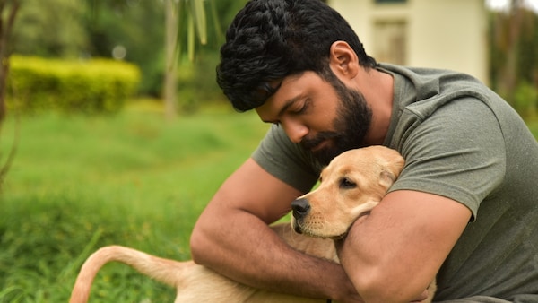 777 Charlie Box Office Collection Day 5: Rakshit Shetty's emotional ride scores a superb weekend, on course to set non KGF 2 records