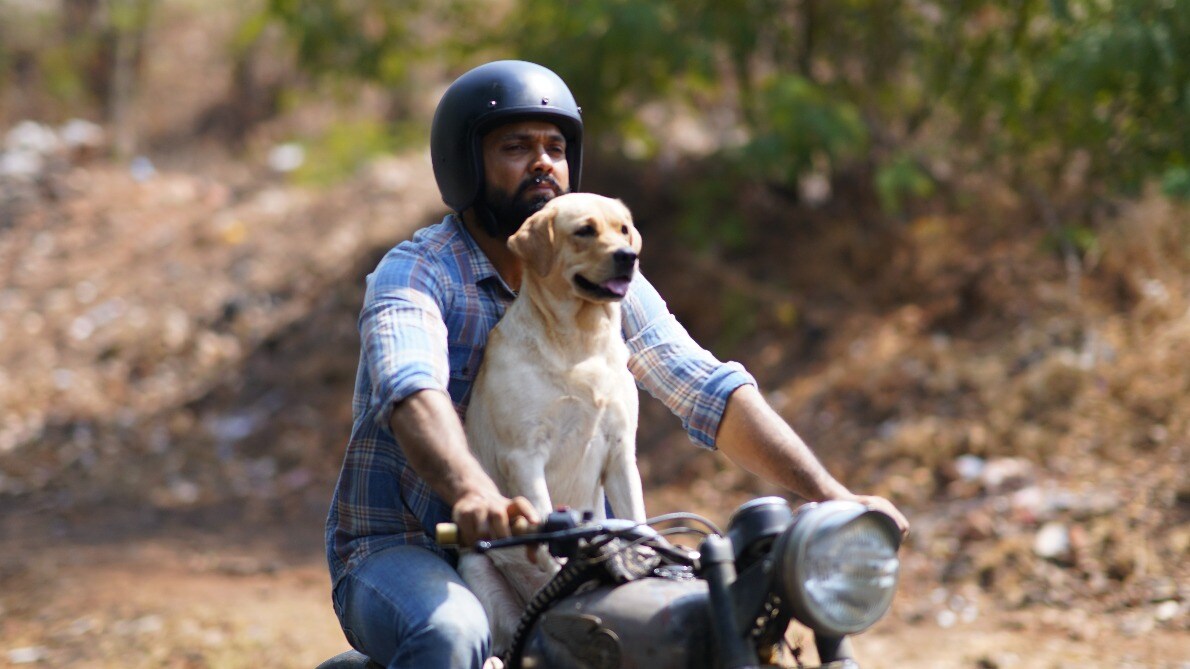 777-charlie-movie-review-rakshit-shetty-s-film-for-pet-lovers-is-all