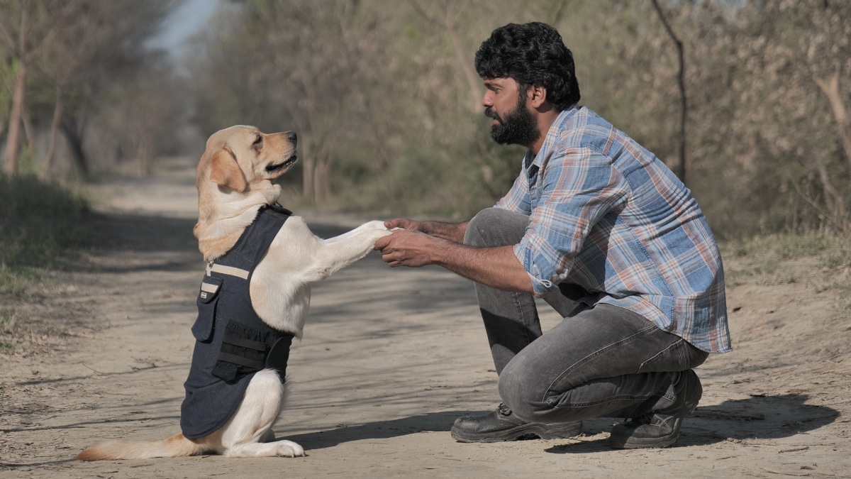 777 Charlie on OTT: This is when you can expect Rakshit Shetty’s film on Voot Select