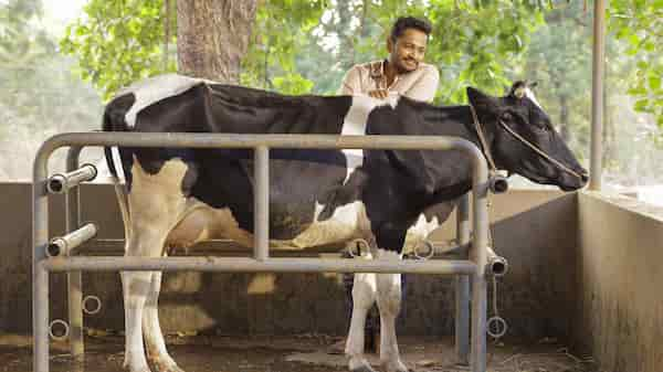 Palthu Janwar movie review: Great writing lends soul to this simple, rustic tale starring Basil Joseph